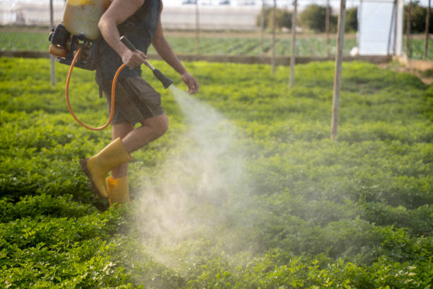Best Best Pest Control Companies  in Adamstown, MD