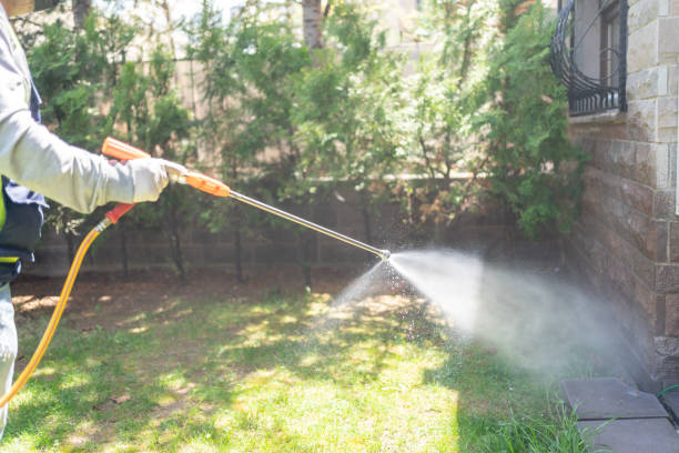 Best Flea Control Services  in Adamstown, MD