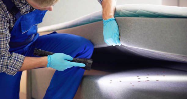 Best Exterminator Services  in Adamstown, MD