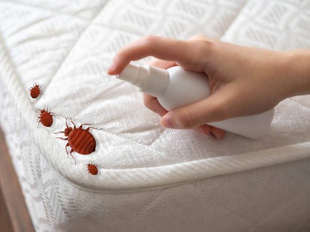 Best Best Pest Control Companies  in Adamstown, MD